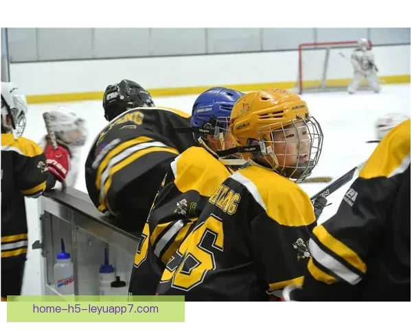 荷兰少年队惜败爱尔兰三比二展现激烈对抗风采